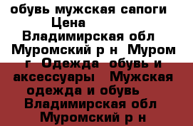 обувь мужская сапоги › Цена ­ 1 000 - Владимирская обл., Муромский р-н, Муром г. Одежда, обувь и аксессуары » Мужская одежда и обувь   . Владимирская обл.,Муромский р-н